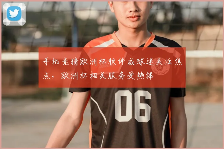 手机竞猜欧洲杯软件成球迷关注焦点，欧洲杯相关服务受热捧
