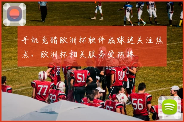 手机竞猜欧洲杯软件成球迷关注焦点,欧洲杯相关服务受热捧