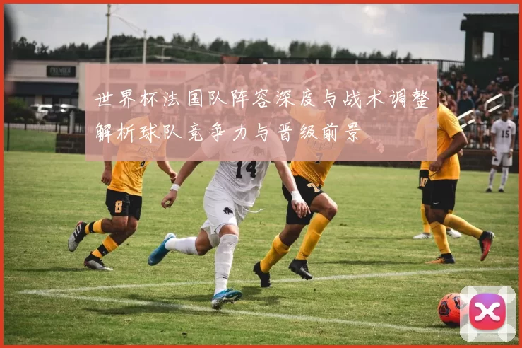 世界杯法国队阵容深度与战术调整解析球队竞争力与晋级前景